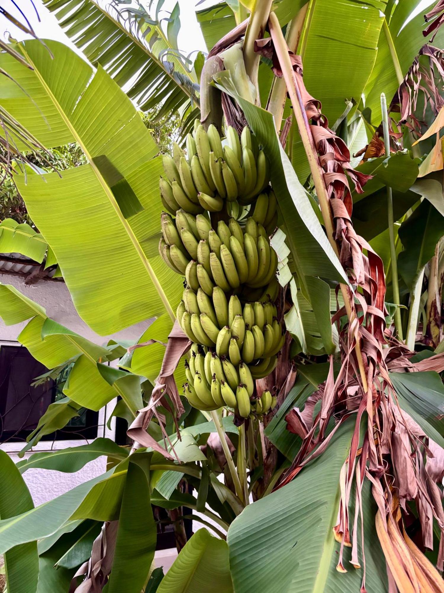 弗罗马格尔山林小屋 斯基灵角 外观 照片